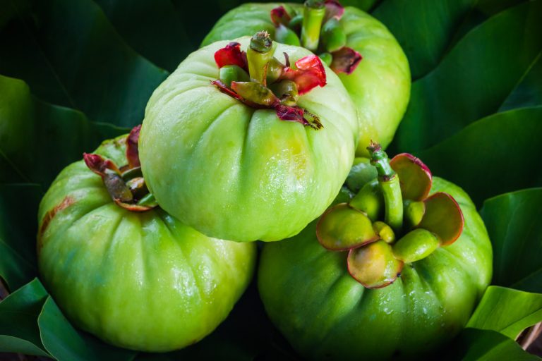 Garcinia Cambogia – En tropisk frukt som kan hjälpa med viktminskning